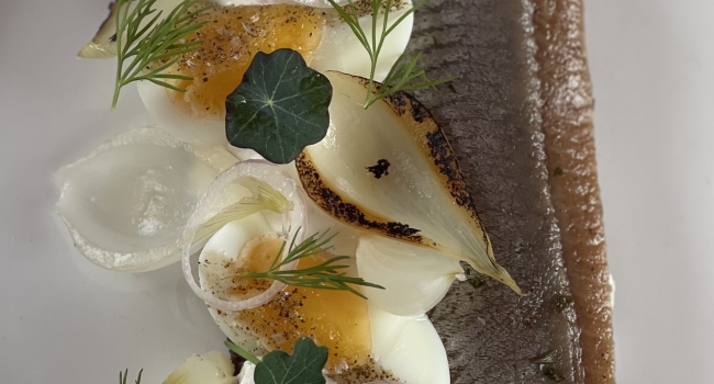 Gourmet smørrebrød med sild